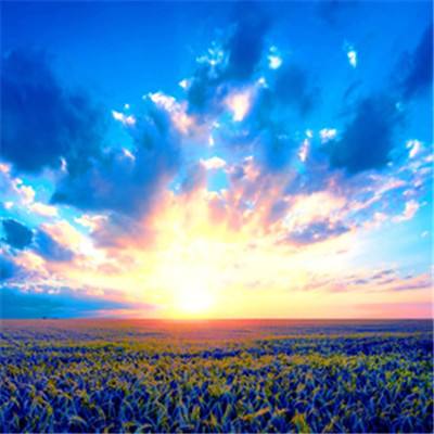 凤凰彩票棋牌截图